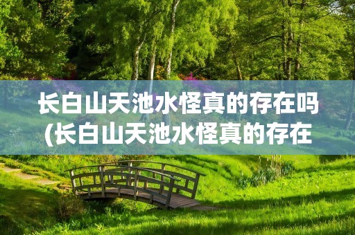 长白山天池水怪真的存在吗(长白山天池水怪真的存在吗图片)