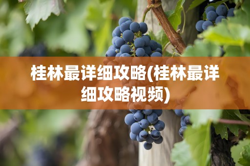 桂林最详细攻略(桂林最详细攻略视频)