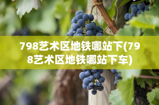 798艺术区地铁哪站下(798艺术区地铁哪站下车)