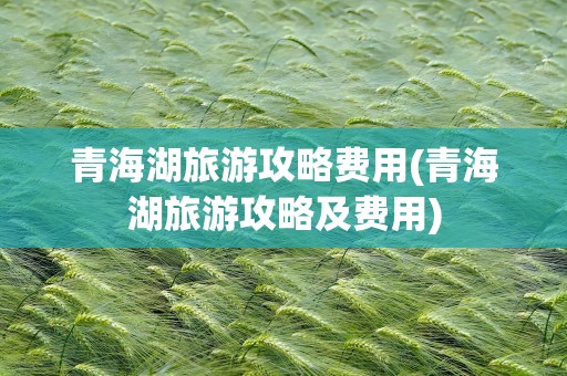 青海湖旅游攻略费用(青海湖旅游攻略及费用)