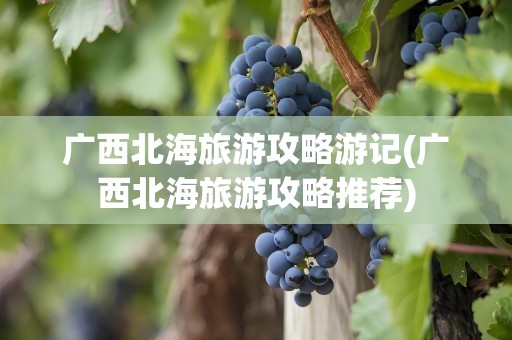 广西北海旅游攻略游记(广西北海旅游攻略推荐)