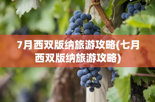 7月西双版纳旅游攻略(七月西双版纳旅游攻略)