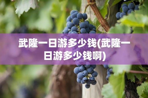 武隆一日游多少钱(武隆一日游多少钱啊)