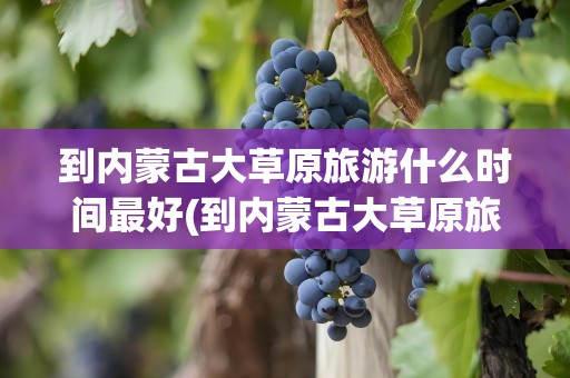 到内蒙古大草原旅游什么时间最好(到内蒙古大草原旅游什么时间最好玩)