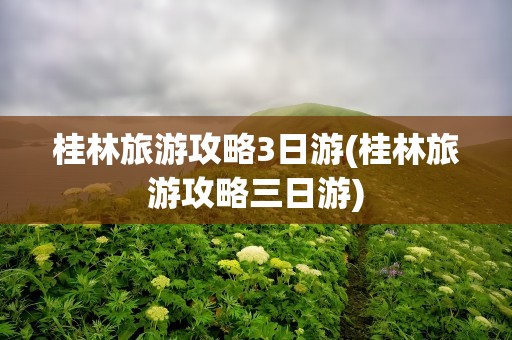 桂林旅游攻略3日游(桂林旅游攻略三日游)