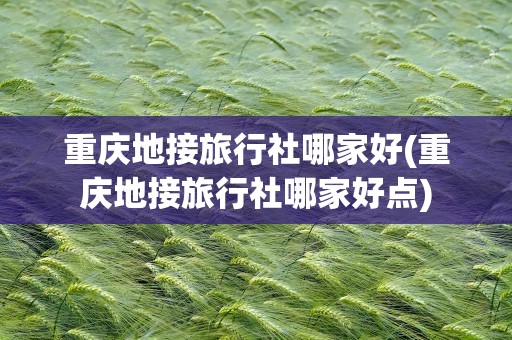 重庆地接旅行社哪家好(重庆地接旅行社哪家好点)