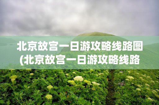 北京故宫一日游攻略线路图(北京故宫一日游攻略线路图片)