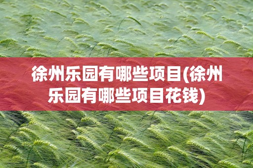 徐州乐园有哪些项目(徐州乐园有哪些项目花钱)