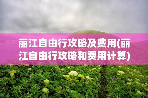 丽江自由行攻略及费用(丽江自由行攻略和费用计算)