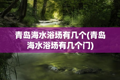 青岛海水浴场有几个(青岛海水浴场有几个门)