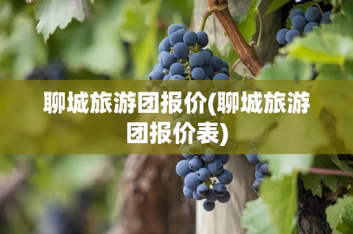 聊城旅游团报价(聊城旅游团报价表)