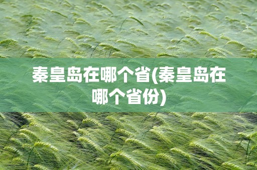 秦皇岛在哪个省(秦皇岛在哪个省份)