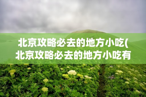 北京攻略必去的地方小吃(北京攻略必去的地方小吃有哪些)