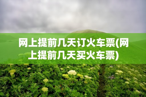 网上提前几天订火车票(网上提前几天买火车票)