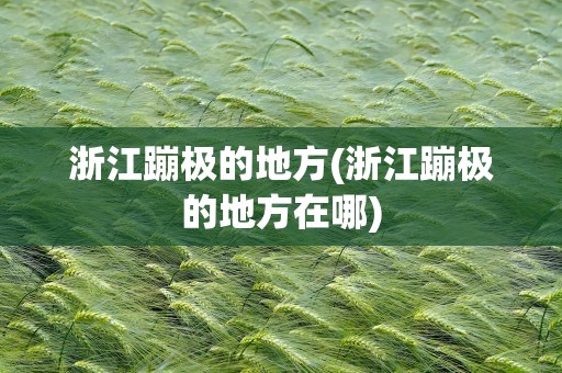 浙江蹦极的地方(浙江蹦极的地方在哪)
