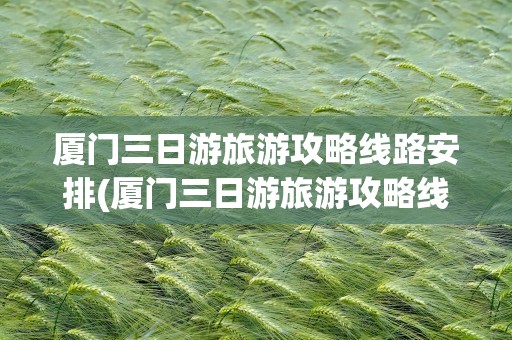 厦门三日游旅游攻略线路安排(厦门三日游旅游攻略线路安排图)