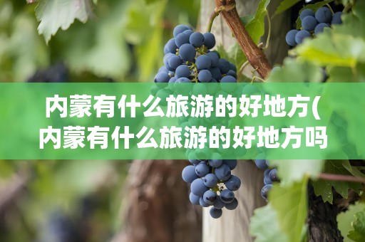 内蒙有什么旅游的好地方(内蒙有什么旅游的好地方吗)