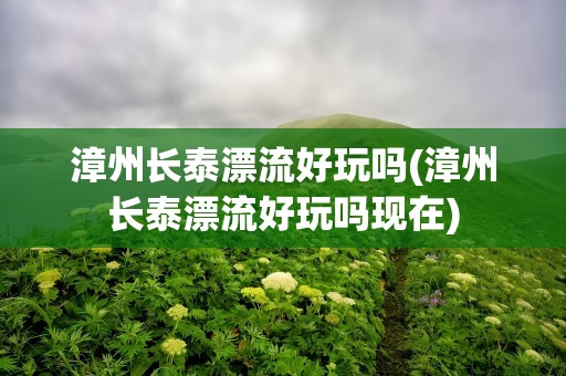 漳州长泰漂流好玩吗(漳州长泰漂流好玩吗现在)