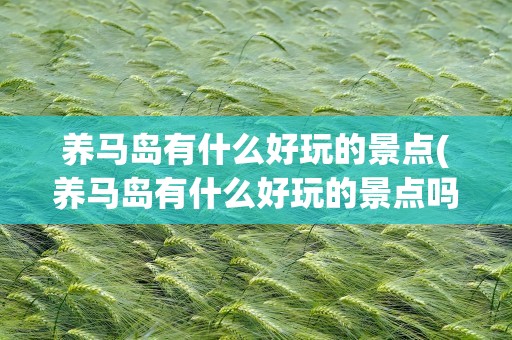 养马岛有什么好玩的景点(养马岛有什么好玩的景点吗)