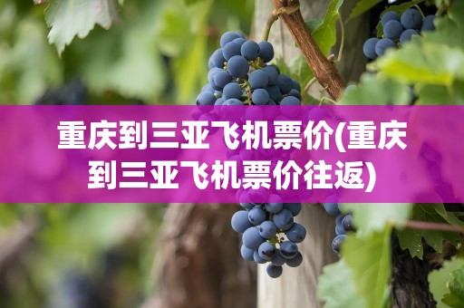重庆到三亚飞机票价(重庆到三亚飞机票价往返)