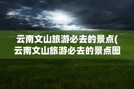 云南文山旅游必去的景点(云南文山旅游必去的景点图片)