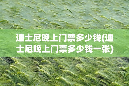 迪士尼晚上门票多少钱(迪士尼晚上门票多少钱一张)