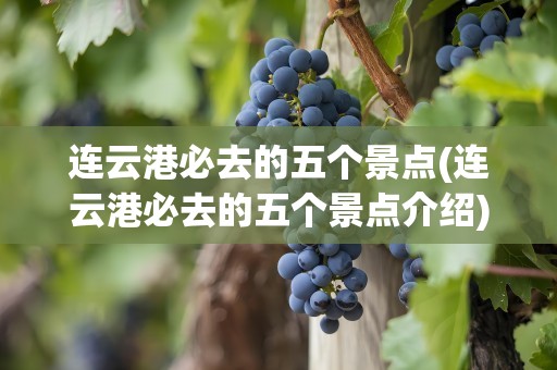 连云港必去的五个景点(连云港必去的五个景点介绍)