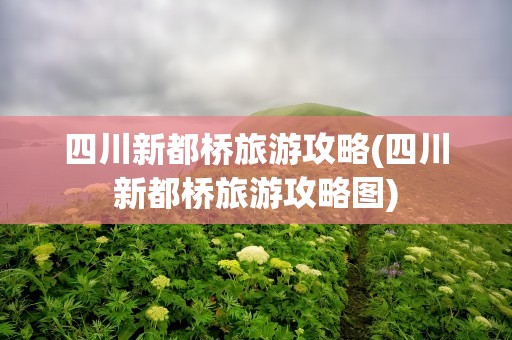 四川新都桥旅游攻略(四川新都桥旅游攻略图)