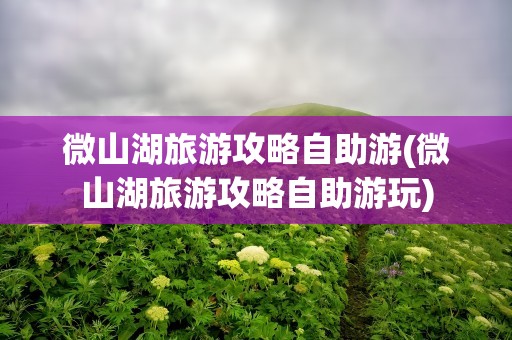 微山湖旅游攻略自助游(微山湖旅游攻略自助游玩)