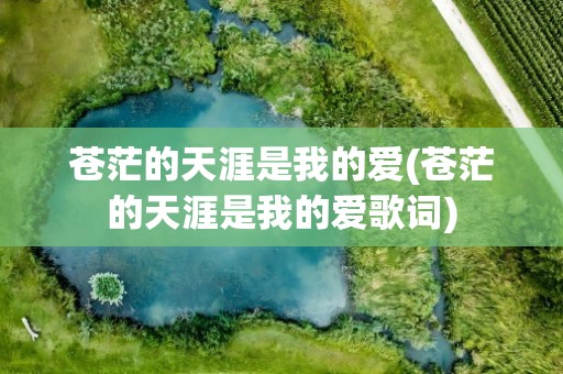 苍茫的天涯是我的爱(苍茫的天涯是我的爱歌词)