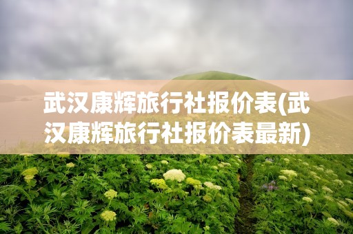 武汉康辉旅行社报价表(武汉康辉旅行社报价表最新)