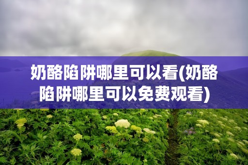 奶酪陷阱哪里可以看(奶酪陷阱哪里可以免费观看)
