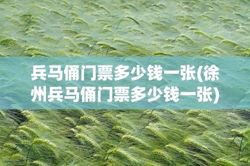 兵马俑门票多少钱一张(徐州兵马俑门票多少钱一张)