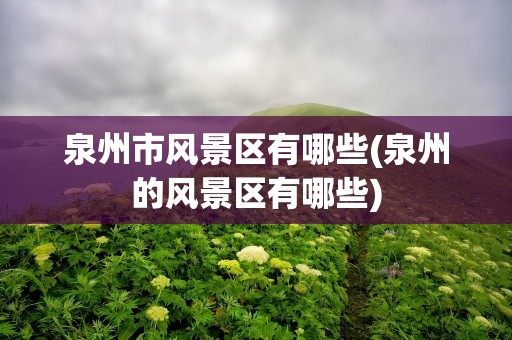泉州市风景区有哪些(泉州的风景区有哪些)