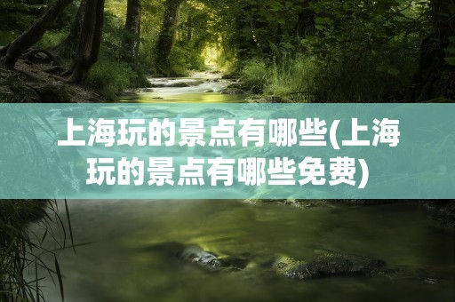 上海玩的景点有哪些(上海玩的景点有哪些免费)