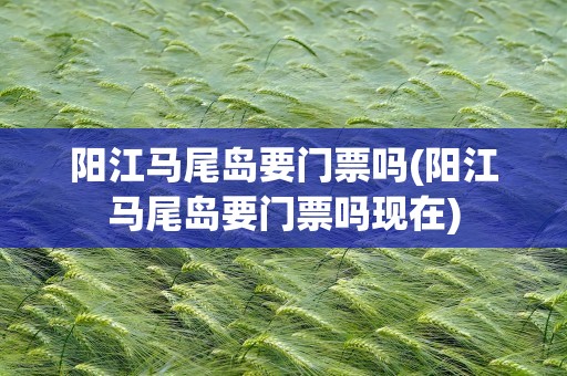 阳江马尾岛要门票吗(阳江马尾岛要门票吗现在)