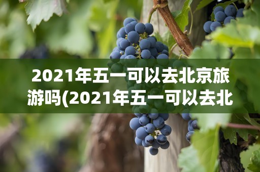 2021年五一可以去北京旅游吗(2021年五一可以去北京旅游吗现在)