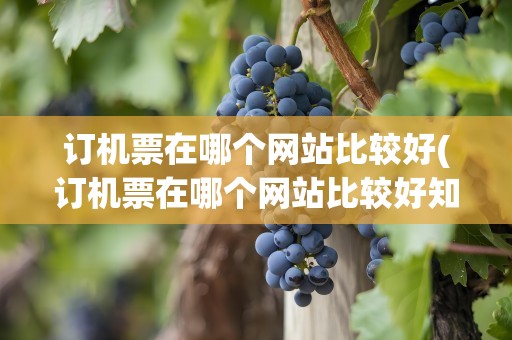 订机票在哪个网站比较好(订机票在哪个网站比较好知乎)