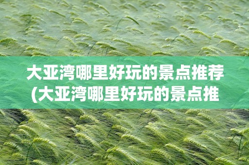 大亚湾哪里好玩的景点推荐(大亚湾哪里好玩的景点推荐免费)