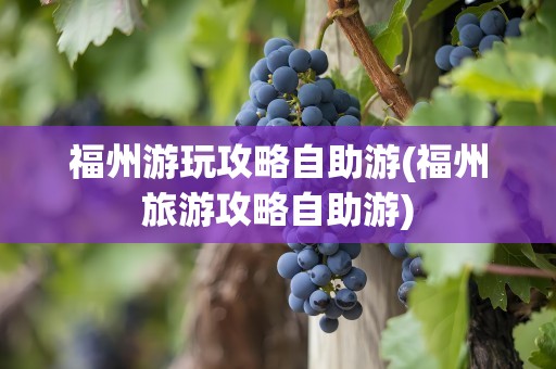 福州游玩攻略自助游(福州旅游攻略自助游)