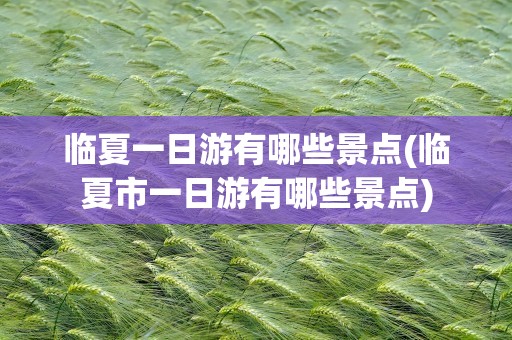 临夏一日游有哪些景点(临夏市一日游有哪些景点)