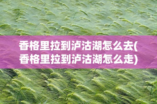 香格里拉到泸沽湖怎么去(香格里拉到泸沽湖怎么走)