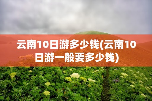 云南10日游多少钱(云南10日游一般要多少钱)