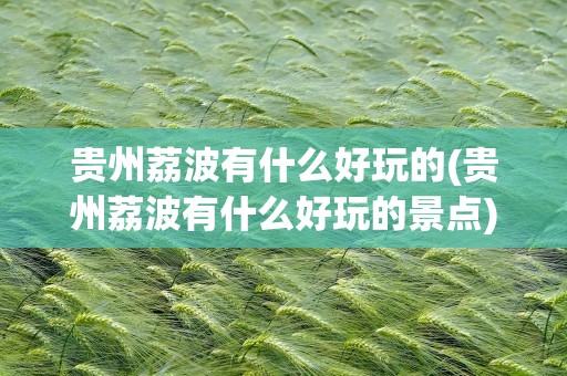 贵州荔波有什么好玩的(贵州荔波有什么好玩的景点)