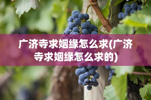 广济寺求姻缘怎么求(广济寺求姻缘怎么求的)