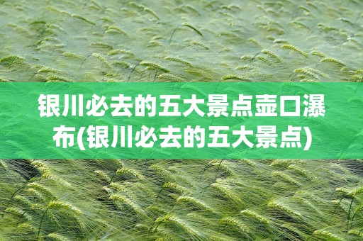银川必去的五大景点壶口瀑布(银川必去的五大景点)