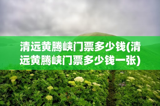 清远黄腾峡门票多少钱(清远黄腾峡门票多少钱一张)