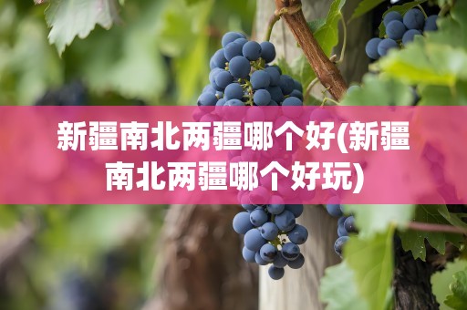 新疆南北两疆哪个好(新疆南北两疆哪个好玩)