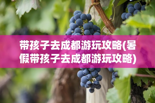 带孩子去成都游玩攻略(暑假带孩子去成都游玩攻略)