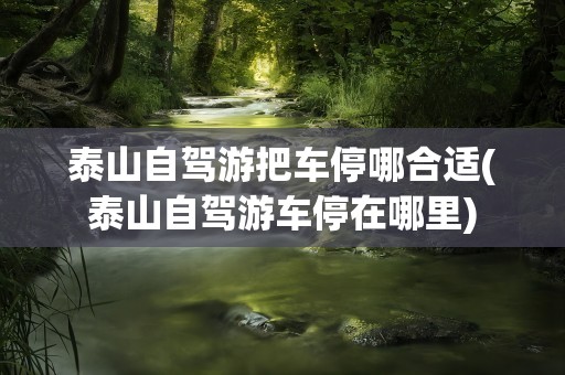 泰山自驾游把车停哪合适(泰山自驾游车停在哪里)